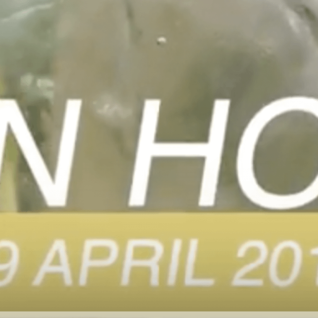 Open House 19 April 2019
